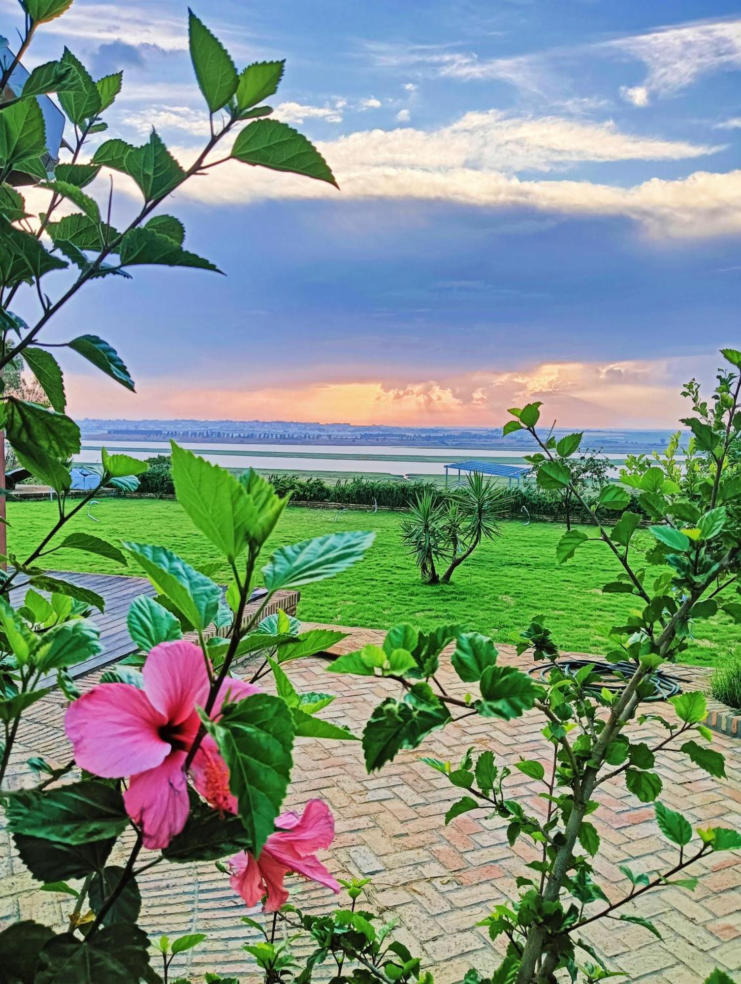 Finca Mis Morenas Palos de la Frontera Ngoại thất bức ảnh