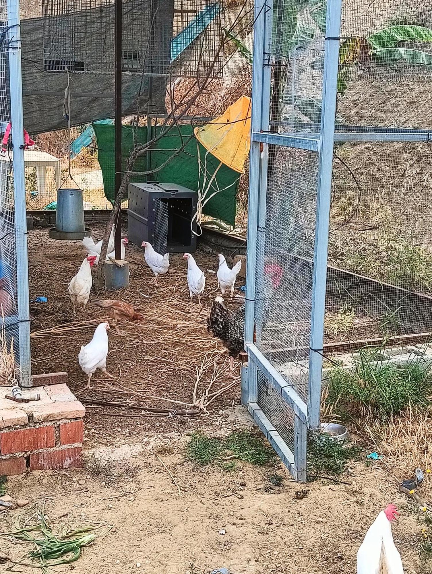 Finca Mis Morenas Palos de la Frontera Ngoại thất bức ảnh