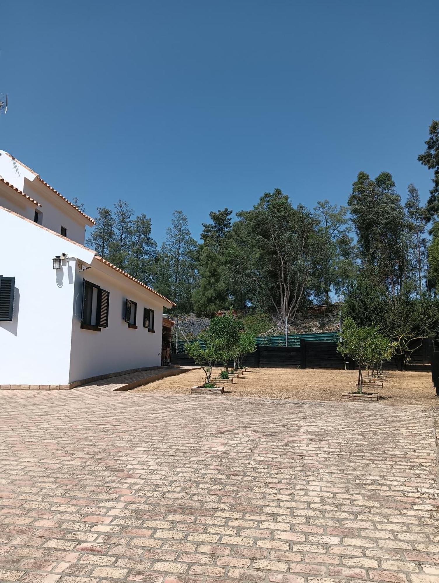 Finca Mis Morenas Palos de la Frontera Ngoại thất bức ảnh